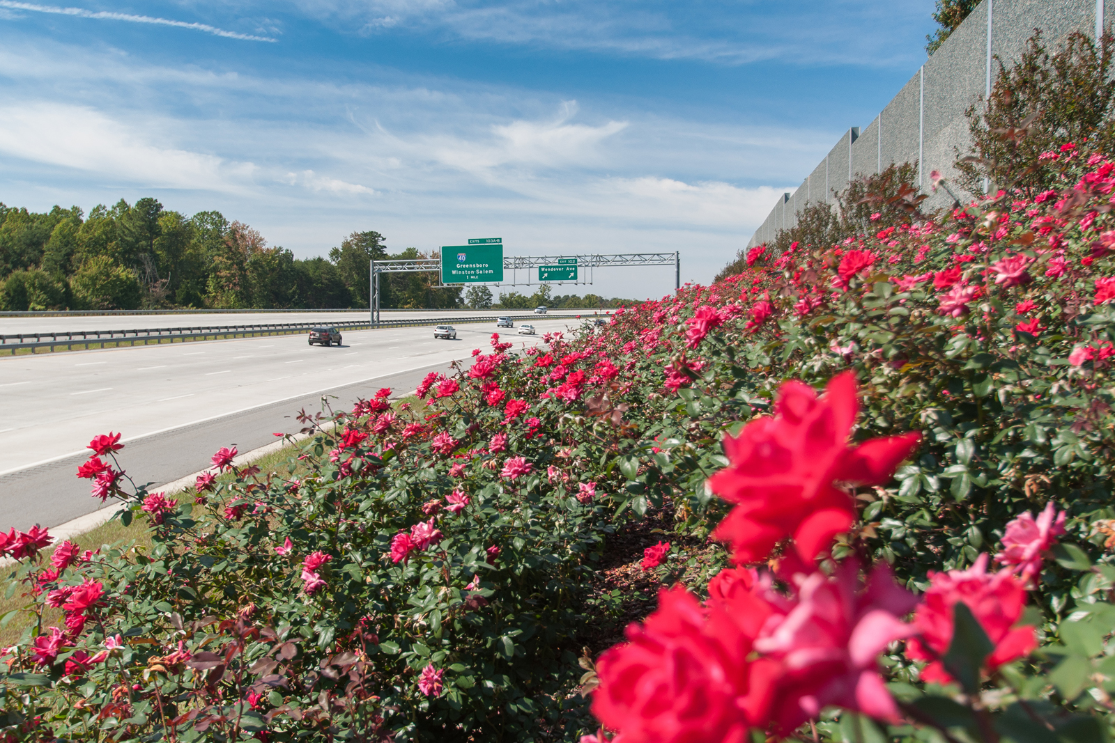 Noise Wall Highway Vegetation